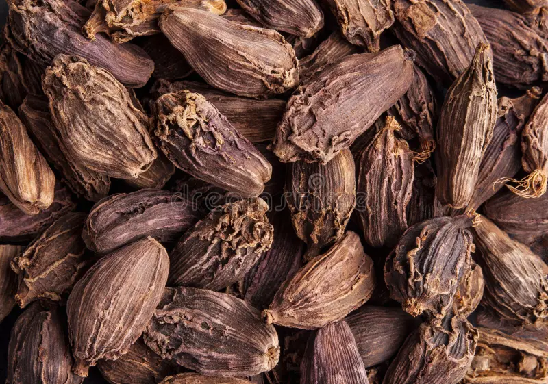 Black Cardamom