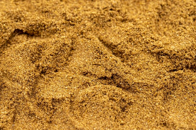 Coriander Powder